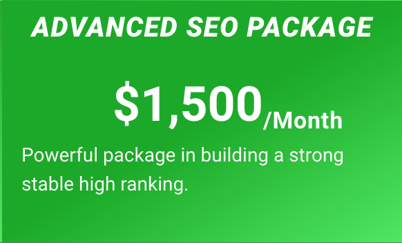 Advance SEO Package