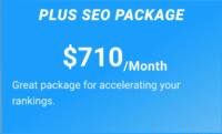 Standard Plus SEO Package